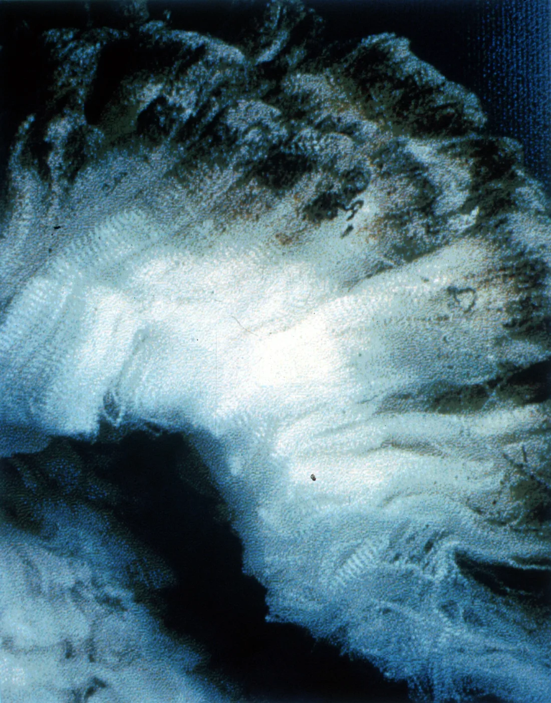 Close detail of crimped wool