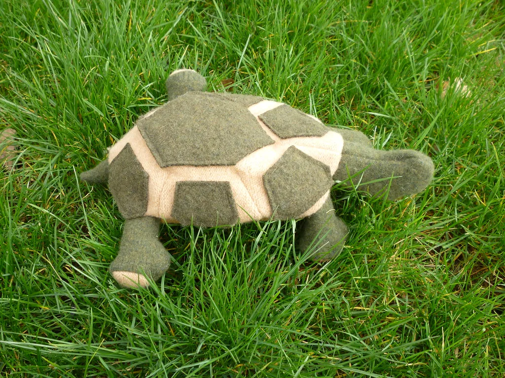 A tortoise soft toy sewn from wool felt pieces