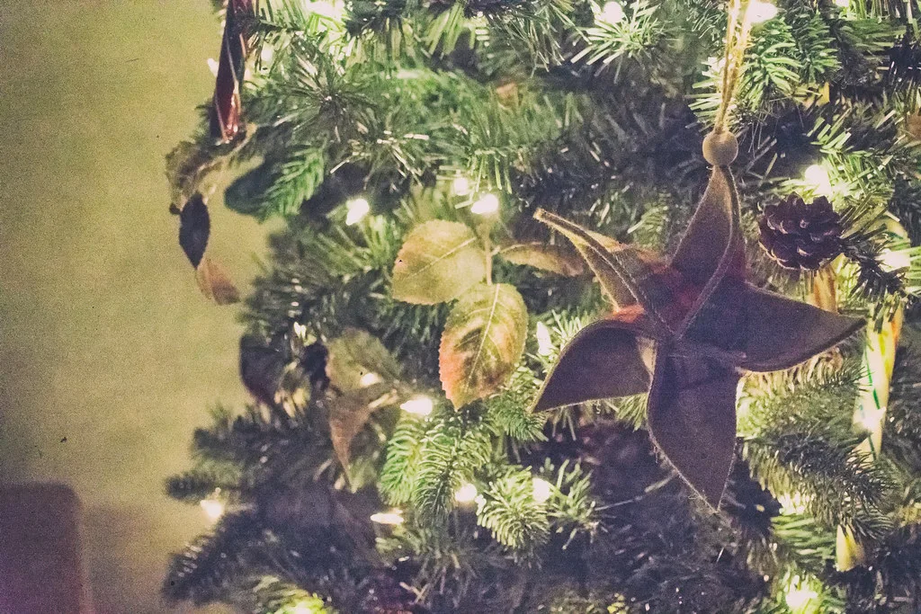 A flat felt star decoration