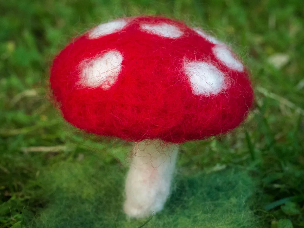 A needle felted mushroom with a domed cap