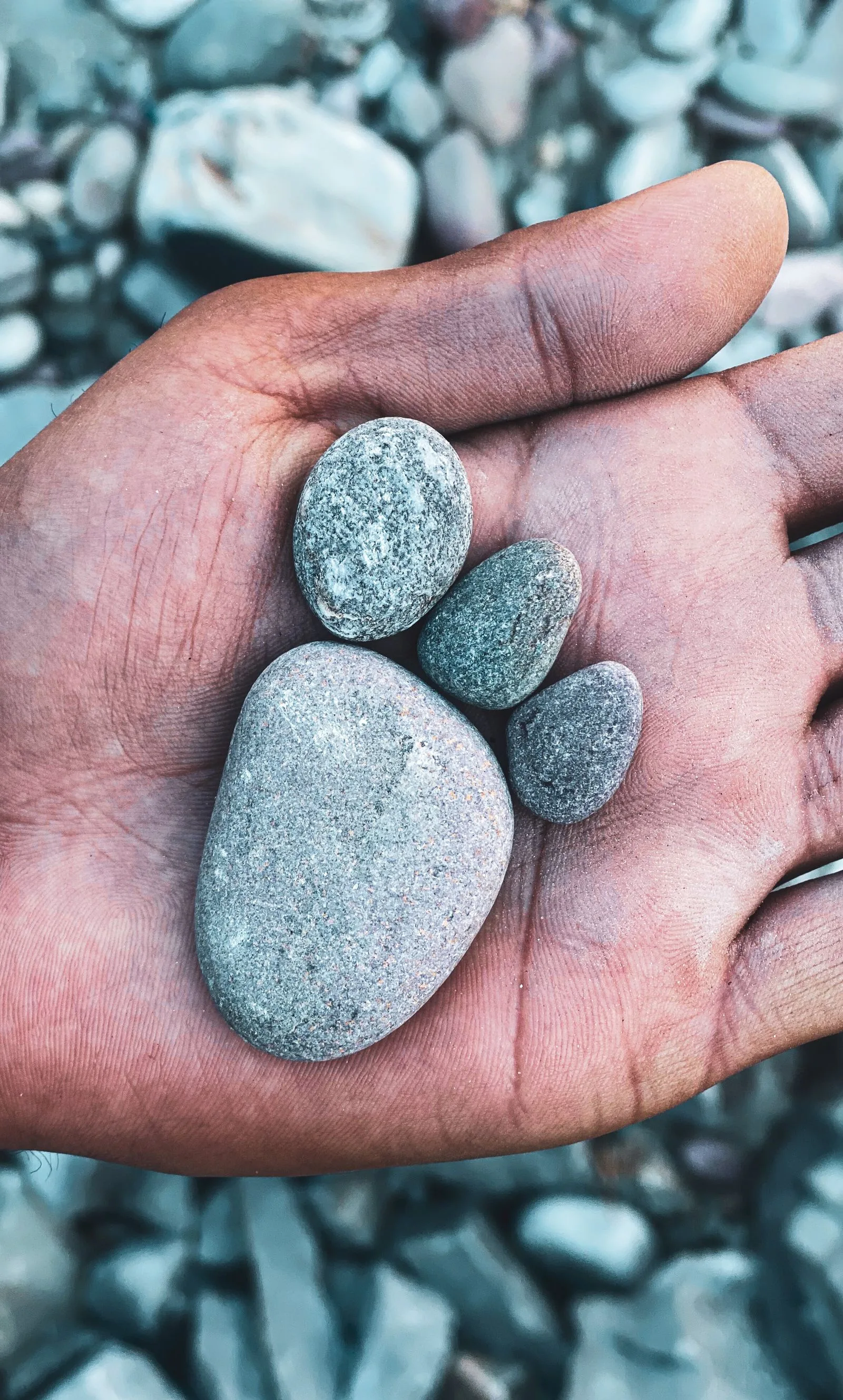 An open palm holding four smooth grey pebbles, one large oval stone and three small ones, above a pebble beach
