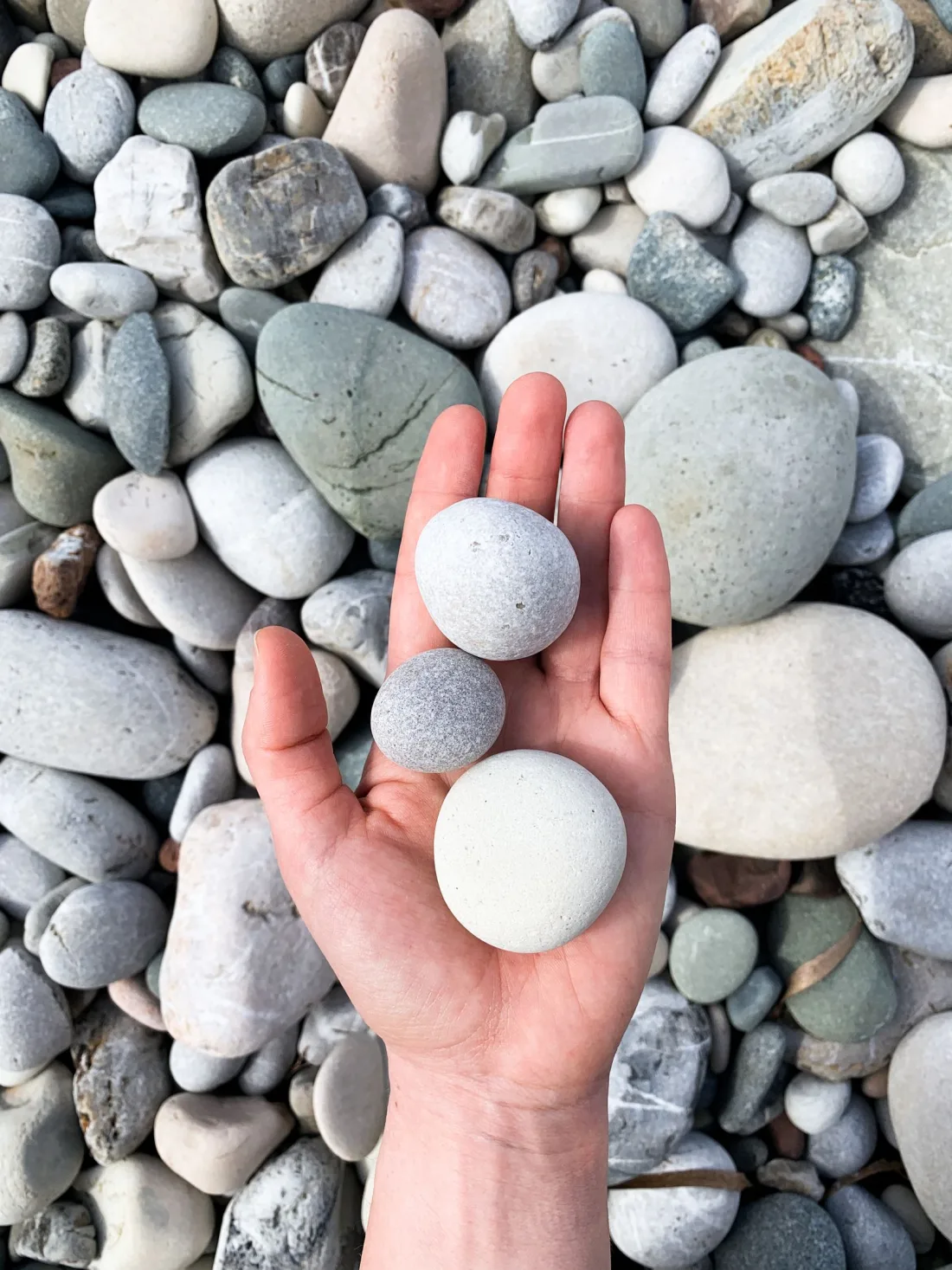 A hand holding three round, pale, smooth pebbles above a beach of rounded stones