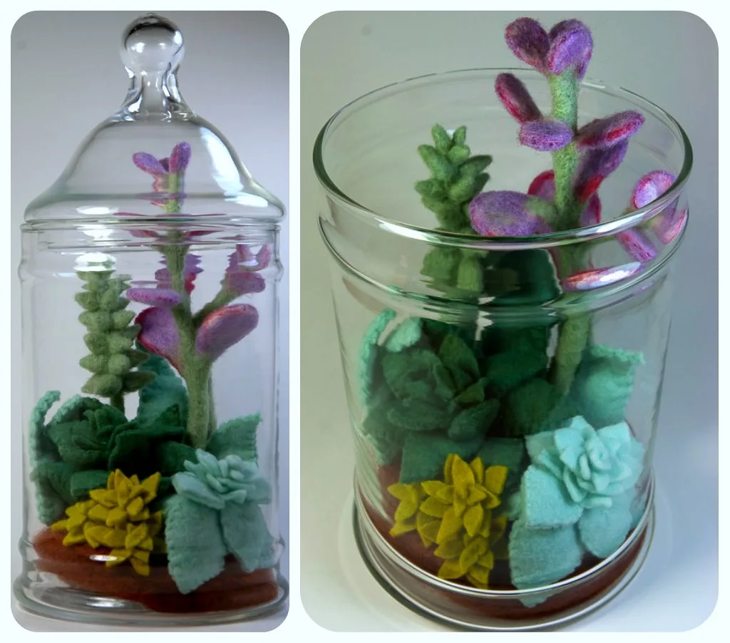 Needle felted succulents arranged in a terrarium