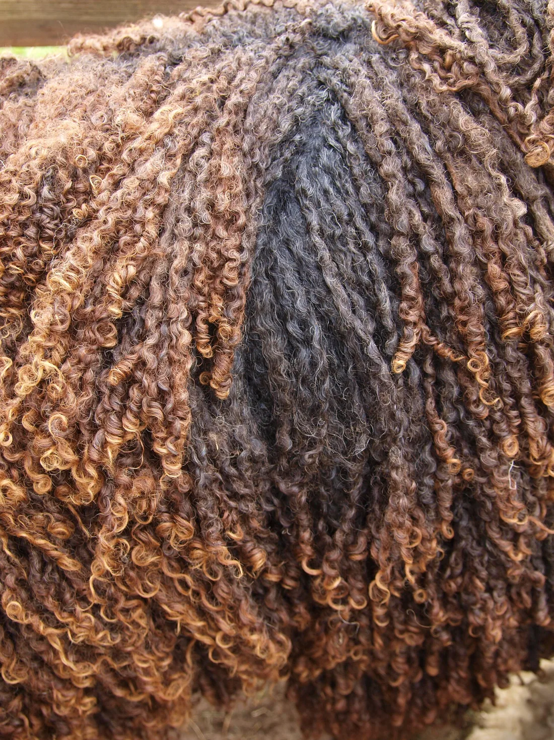 Long dark wool locks of the kind used for long coats
