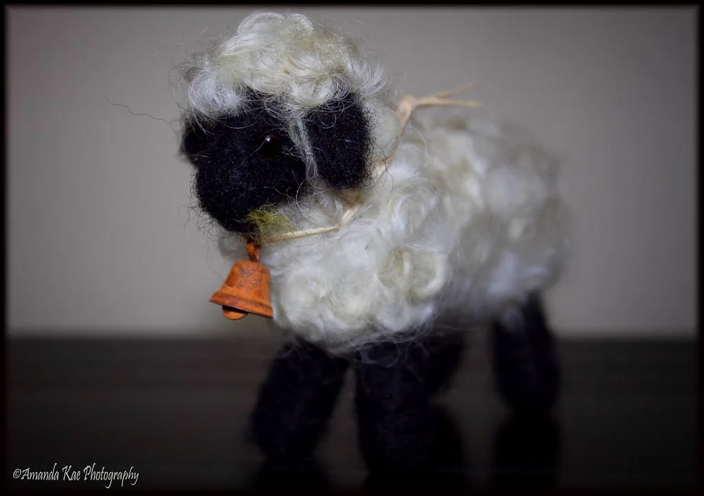 A small needle felted sheep, a typical beginner project