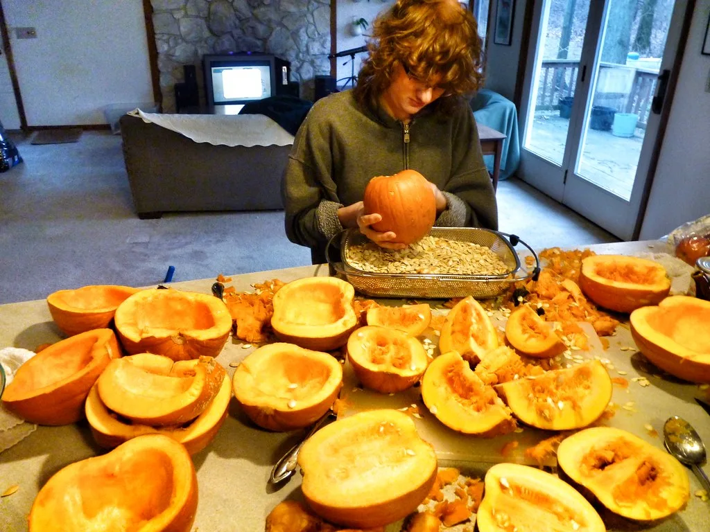 Seeds and stringy pulp scooped out of a fresh pumpkin
