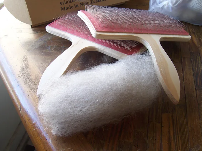 A rolag of carded wool, rolled off a board